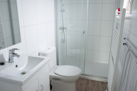 Moderne badeværelse med håndvask, toilet og brusekabine i Veluwelodge XL på Holiday park De Boshoek, Holland.