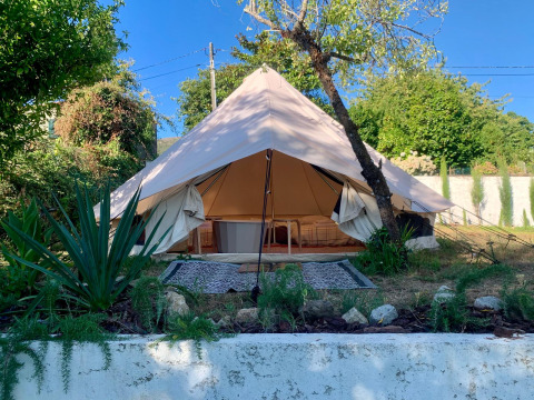 Safari-Zelt Oliveira Bell Standard Bell Tent mit offener Front, umgeben von grünen Pflanzen und Bäumen.