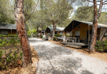Tiendas safari en Villatent Wood en Camping Casa dei Prati, Italia, rodeadas de pinos y naturaleza.