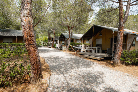 Safari tents at Villatent Wood in Camping Casa dei Prati, Italy, nestled among pine trees and nature.