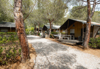 Safari tents at Villatent Wood in Camping Casa dei Prati, Italy, nestled among pine trees and nature.