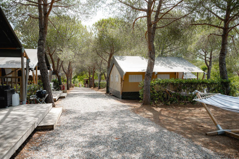 Safaritent Villatent Wood op Camping Casa dei Prati in Italië met grindpad, dennenbomen en hangmat.