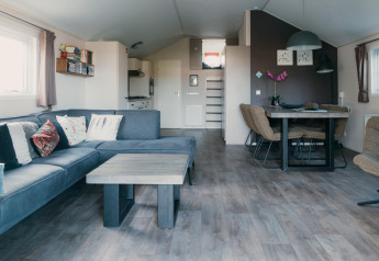 Soggiorno moderno presso Veluwe lounge + sauna, Holiday park De Boshoek, Paesi Bassi, con divano e tavolo.