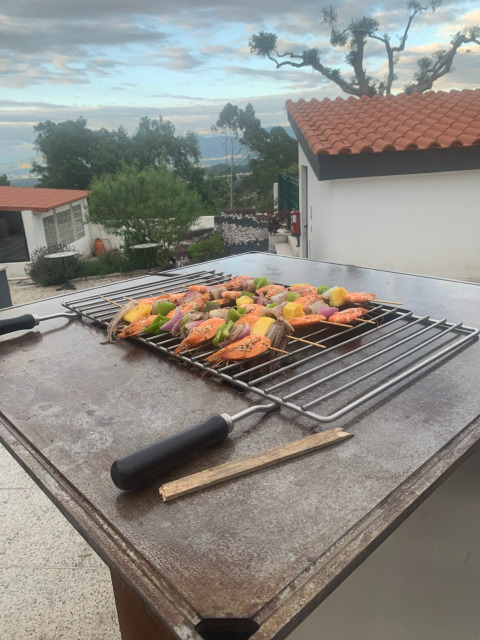 Brochetas de camarones y verduras en una parrilla en Glamping de Cerveira, Portugal, con hermosa vista exterior.