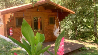 Træhytte kaldet Azalea Cabin ved Glamping de Cerveira i Portugal, omgivet af frodig natur og blomster.