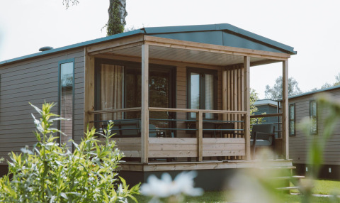 Tiny Lodge tiny house op Holiday park De Boshoek in Nederland, met overdekt terras en groene omgeving.