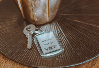 Juego de llaves con etiqueta 'Tiny Lodge Geel 125' en una mesa, tomada en Holiday park De Boshoek, Países Bajos.