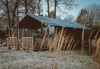 En Tiny Safari House safaritelts hytte med træveranda i ferieparken De Boshoek, omgivet af træer og vintergræs.