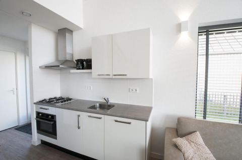 Moderne kitchenette in Villa Oesterdam in Oesterdam Resort, Nederland, met kookplaat, gootsteen en raam.