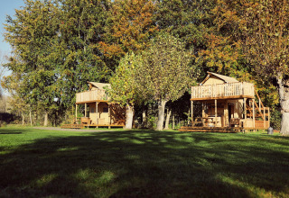 Due tende safari glamping con veranda in legno al Resort de Parel, circondate da alberi nei Paesi Bassi.