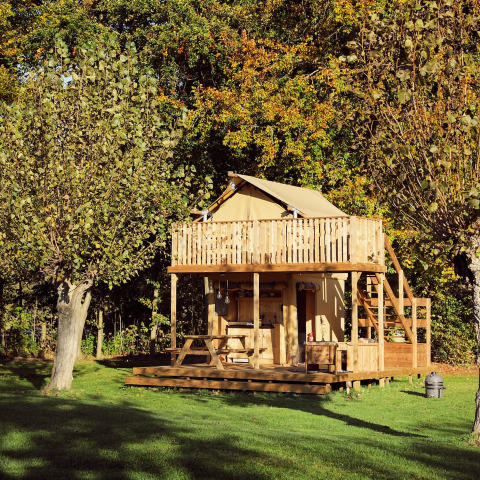 Tente glamping Arriba au Resort de Parel, Pays-Bas, tente safari en bois avec terrasse dans la nature.