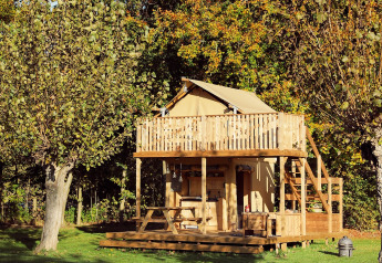 Glamping-telt Arriba ved Resort de Parel i Holland, træhytte med terrasse omgivet af grønne træer.