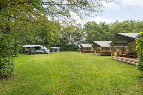 Tiendas safari con instalaciones sanitarias y autocaravanas en Camping de Beukenhof, rodeadas de vegetación en Holanda.