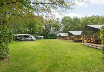 Tiendas safari con instalaciones sanitarias y autocaravanas en Camping de Beukenhof, rodeadas de vegetación en Holanda.