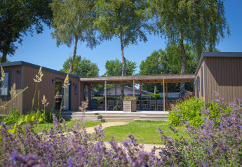 Family lodge al Holiday park De Boshoek nei Paesi Bassi, con fiori, verde e terrazza esterna ombreggiata.
