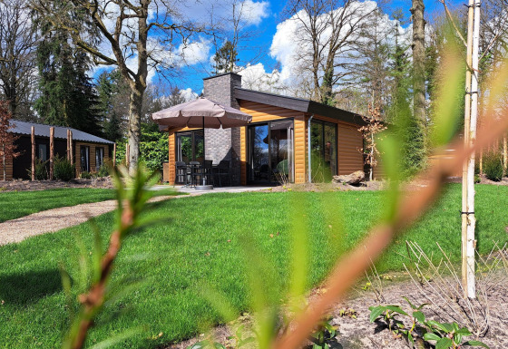 Moderne træhytte Hackfort Wood 6 med terrasse og parasol, omgivet af grønne træer og græsplæne.