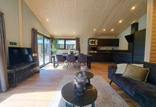 Moderne lodge met houten plafond, leefruimte en keuken in Hackfort Wood 6, De Utrechtse Heuvelrug, Nederland.