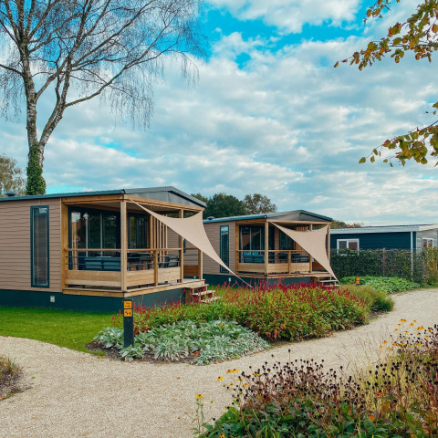 Dos lodges Tiny Court en Holiday park De Boshoek, Países Bajos, con terrazas de madera y jardines verdes.