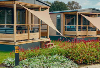 Wooden lodges at Tiny Court, Holiday park De Boshoek, Netherlands, with vibrant flowers in the foreground.