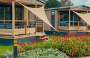 Træ-lodges ved Tiny Court på Holiday park De Boshoek i Nederlandene med farverige blomster foran.