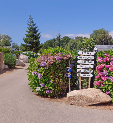 Sentiero con fiori e cartelli al Camping de Kerleyou, parco vacanze in Bretagna, Francia.
