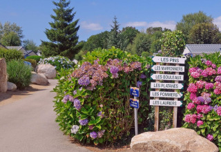 Sentiero con fiori e cartelli al Camping de Kerleyou, parco vacanze in Bretagna, Francia.