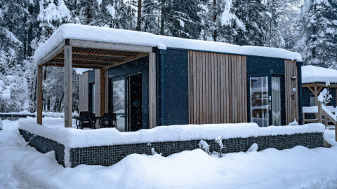Moderna cabaña Enzian en Pressegger See, Austria, rodeada de bosque nevado en un paisaje invernal.