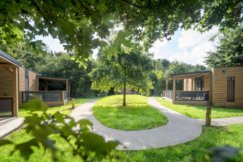 Modernas cabañas de madera rodean un césped verde con senderos, situadas en un entorno natural tranquilo.