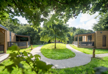 Moderne Holzhütten mit grünen Rasenflächen, zentralem Baum und verwinkelten Wegen im Wald.