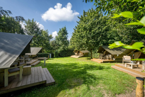 Glampingtelt XS ved Urban-Gardens Ieper i Belgien med træterrasser under grønne træer og blå himmel.