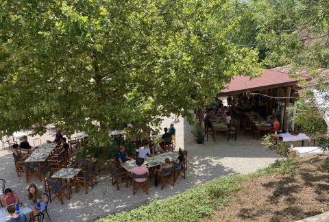 Zona pranzo all'aperto al Camping Podere sei Poorte, Marche, Italia, con ospiti che mangiano sotto gli alberi.