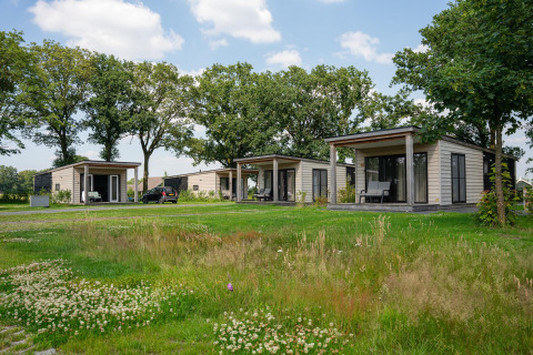 Panorama lodge con wellness y jacuzzi en Vakantiepark Hölte, Países Bajos, rodeado de naturaleza verde.