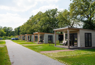 Filari di tiny house Panorama Lodge con wellness e jacuzzi al Vakantiepark Hölte, Paesi Bassi.