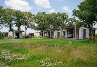 Panorama lodge avec bien-être et jacuzzi à Vakantiepark Hölte, Pays-Bas, entouré de verdure et d’arbres.