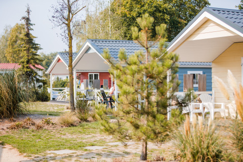 Photo of cozy wooden lodges with porches and patio chairs, surrounded by greenery and trees at a lodge.