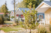 Photo of cozy wooden lodges with porches and patio chairs, surrounded by greenery and trees at a lodge.