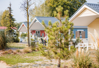 Photo de lodges en bois accueillants avec terrasse et chaises, entourés de verdure et d'arbres.