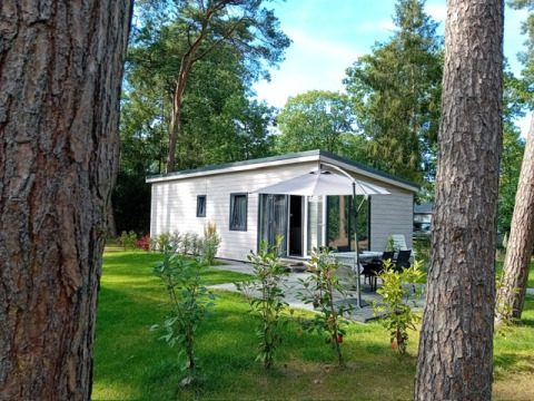 Forest Lodge De Mooie Plek en Bospark Markelo, Países Bajos, rodeado de árboles y césped verde en la naturaleza.