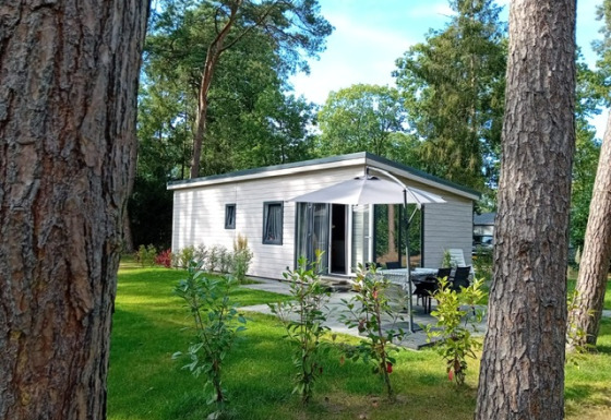 Forest Lodge De Mooie Plek al Bospark Markelo in Olanda, circondata da alberi e prato verde in un ambiente tranquillo.