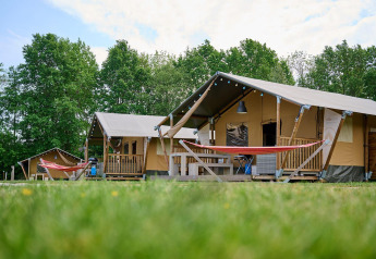 Safari telte med veranda og hængekøjer i grønne omgivelser på Vakantiepark Sallandshoeve, Holland.