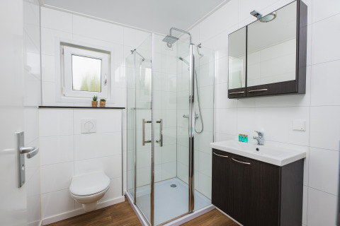 Bagno moderno con doccia in vetro, lavabo, WC e specchio presso Luxury lodge + sauna, Vakantiepark Hölte, Paesi Bassi.