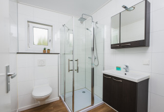 Bagno moderno con doccia in vetro, lavabo, WC e specchio presso Luxury lodge + sauna, Vakantiepark Hölte, Paesi Bassi.