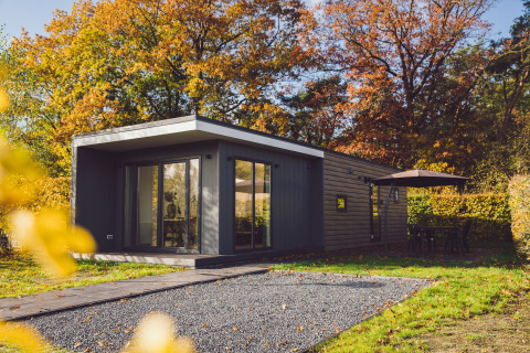 Tiny house moderne entourée d’arbres d’automne, terrasse avec parasol et meubles de jardin.