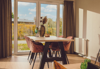 Lichte leefruimte in een tiny cabin bij Vakantiepark Hölte, Nederland, met grote ramen en modern meubilair.