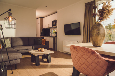 Acogedora sala de estar en una tiny cabin de Vakantiepark Hölte, Países Bajos, con decoración moderna.