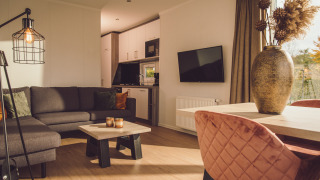 Hyggelig stue i Tiny cabin på Vakantiepark Hölte, Holland, med moderne indretning og store vinduer.