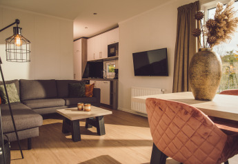 Hyggelig stue i Tiny cabin på Vakantiepark Hölte, Holland, med moderne indretning og store vinduer.