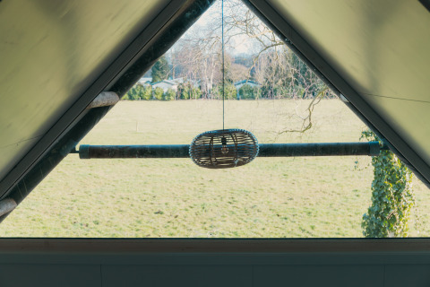 Uitzicht vanuit de Big Lodge in Holiday park De Boshoek, Nederland, met hanglamp en groene weide buiten.