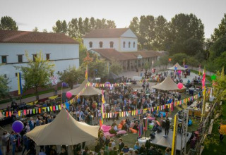 Udendørs festival på Expedition Archeon i Sydholland, Holland, med farverige bannere og mange mennesker.