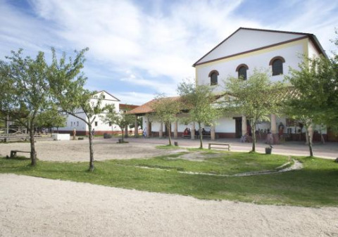 Vista del parque vacacional Expedition Archeon en Holanda Meridional, Países Bajos, con edificios blancos y árboles.